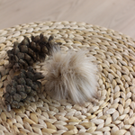 POMPOM S pre-order 10pcs Toffee