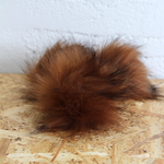 POMPOM M - Adult Brown