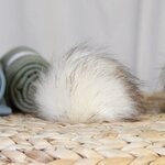 POMPOM M - Adult Off-white black and brown